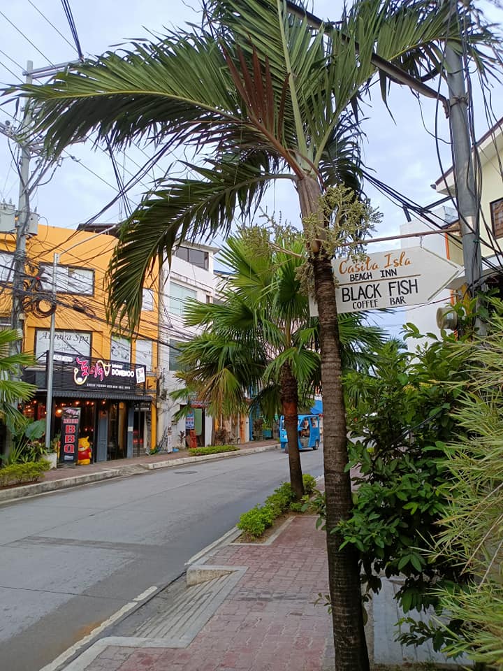 481156200 1405213654245733 7058413545014670685 n