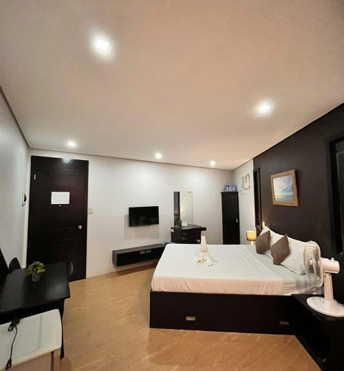 489958475 1447972456636519 5695961745915055176 n