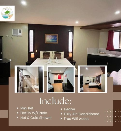 490183021 1449250103175421 4481993729630656122 n