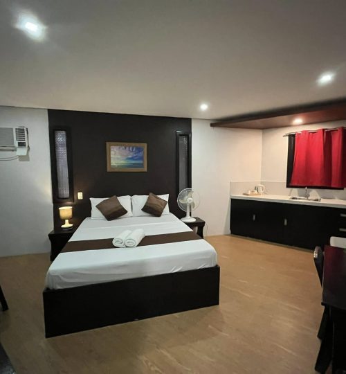 490214865 1452124366221328 1384408143498222035 n