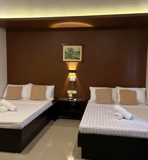 490463030 1452124702887961 3227197861823602891 n