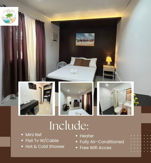 493287750 1461171138649984 7154169995288119171 n